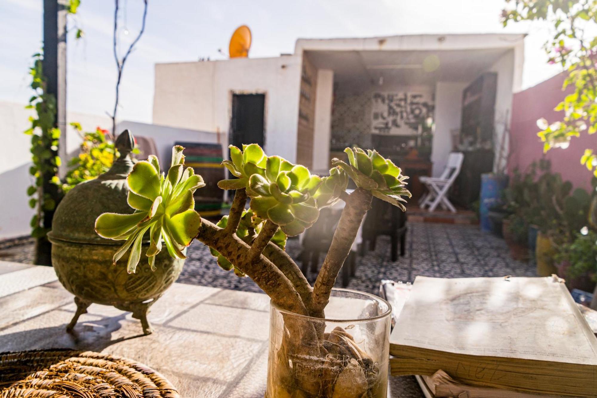 Essaouira Youth Hostel & Social Travel ภายนอก รูปภาพ