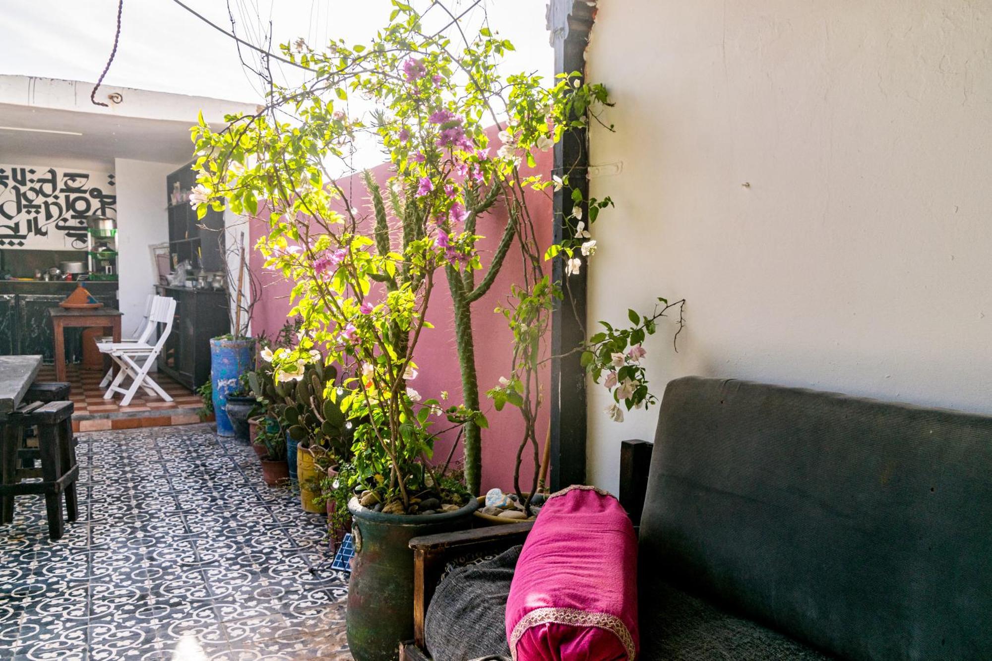 Essaouira Youth Hostel & Social Travel ภายนอก รูปภาพ